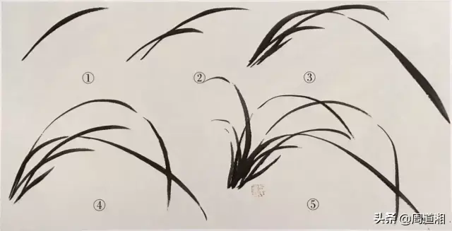 草的简笔画怎么画，猪笼草的简笔画怎么画（兰草的画法）