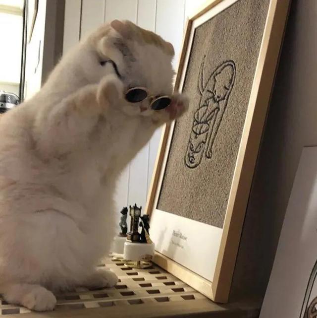 可可爱爱没有脑袋。，可可爱爱没头脑袋微信（可可爱爱没有脑袋的可爱头像）