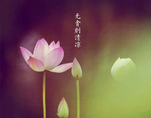 道德经悟道技巧，树袋熊大话助读《道德经》第十六章