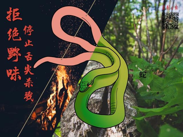 牛蛙属于海鲜吗，牛蛙算海鲜吗（这份野生动物名录仔细看一下）