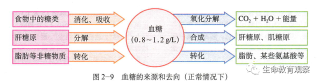 内环境的组成成分，内环境的组成成分含义（高三一轮复习必修三细节梳理和重点题型）