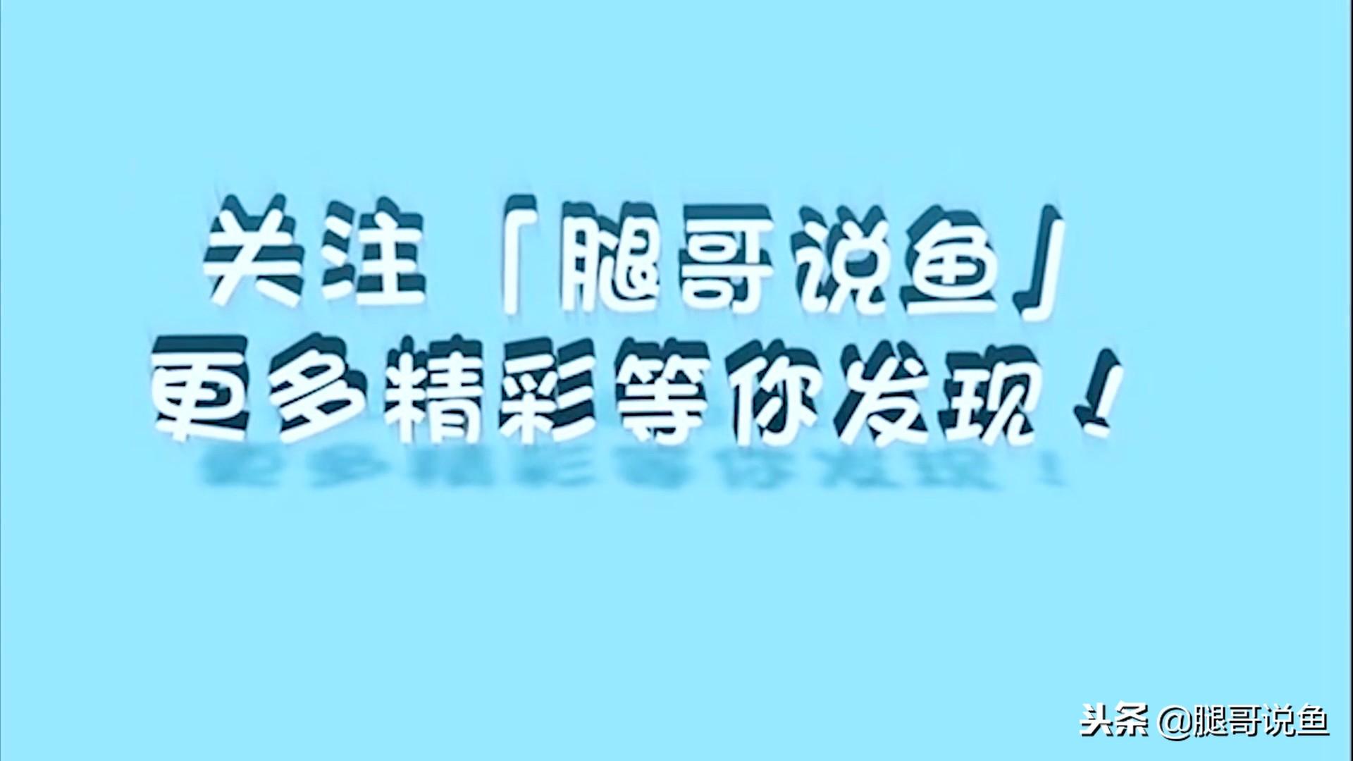 辣椒蟹怎么养(辣椒蟹长期水底会死吗)插图(12)