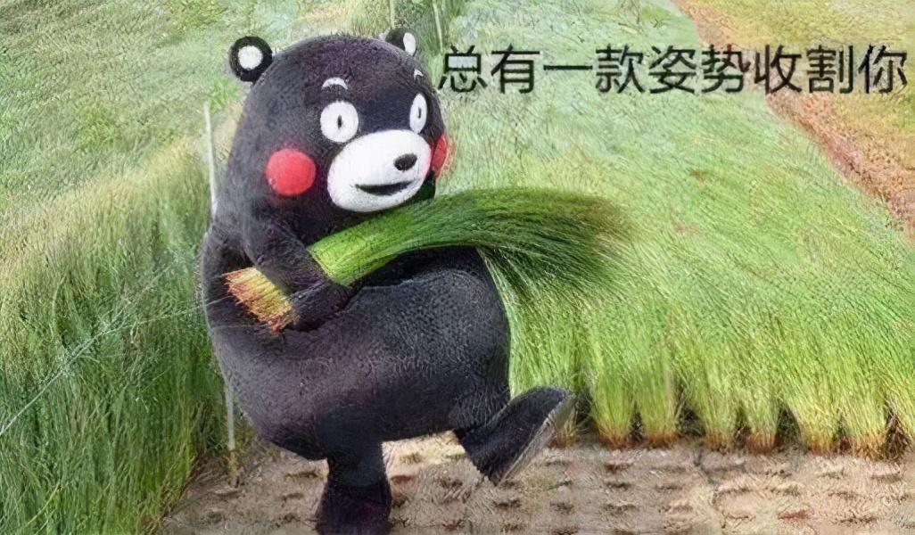 签保险代理合同后悔了（我为什么劝你不要找代理退保）