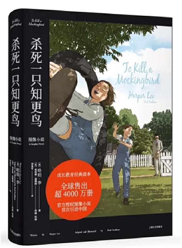 知更鸟的寓意和象征，知更鸟象征什么（《杀死一只知更鸟》）