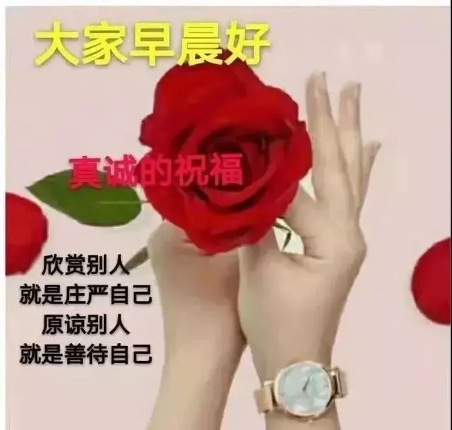 早安吉祥祝福语，阳光治愈系暖心的正能量祝福图片