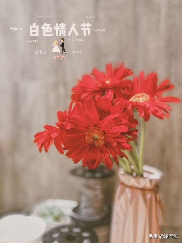 12个月都有什么情人节，二月没过情人节的今天补上