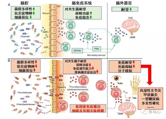 sfb是什么意思，sfnb是什么意思（你必须知道的热知识<二>）