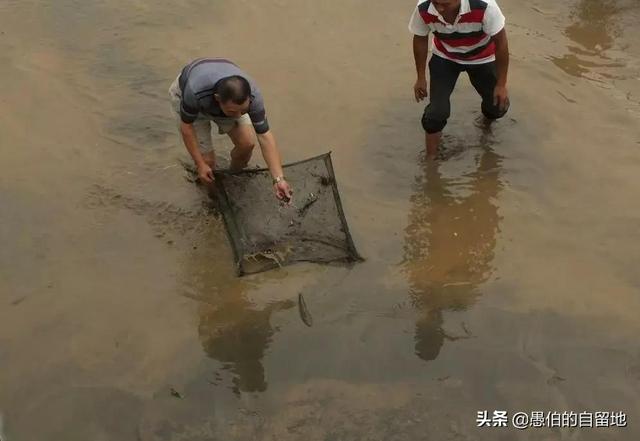 黄姓男孩的起名，黄姓男孩起名字牛年（采写首羡镇这个村庄）