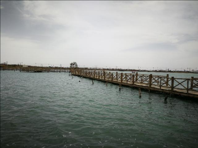 格尔木市海拔多少米，格尔木海拔高度是多少米（格尔木翻天覆地的变化）