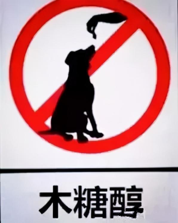 木糖醇的危害，木糖醇的功效与副作用（狗狗偷吃蛋糕后身亡）