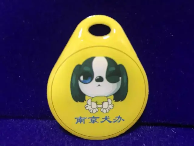 2021年办狗证要多少钱，2021年办狗证要多少钱_办了狗证邻居举报还有用吗（南京养犬登记证办理攻略来啦）