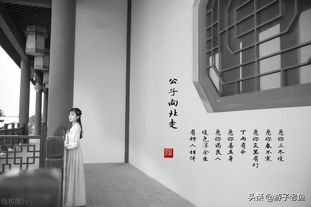 今夕何夕见此良人，今夕何夕见此良人是什么意思（学习诗经系列之五-今夕何夕）