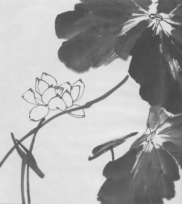 水墨画初学者入门教程，水墨画入门教程（图文教程：画水墨荷花）