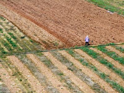 地力补贴和粮补是一个意思吗，地力补贴和粮食直补是一回事吗（2019最新农村耕地地力补贴标准一览）