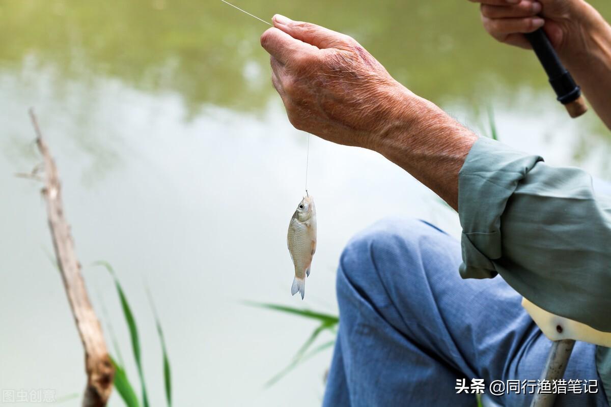 钓浮调漂图解详解：虽钓底称王，浮钓技巧同样关键，掌握调漂秘诀提升上鱼率