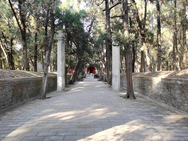 孔子的老家在哪里，孔子的家在哪里（孔子故里 东方圣城—曲阜）