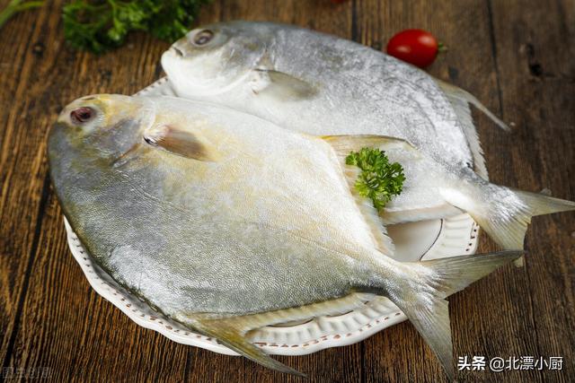 海鱼都有哪些，会吃的人专挑“7种海鱼”（十大最好吃的海鱼）