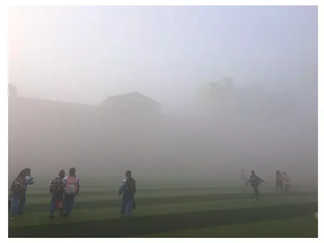 纯洁的反义词，轻盈光滑高傲纯洁的反义词（部编版一年级下册《语文园地二》+和大人一起读《阳光》知识点）