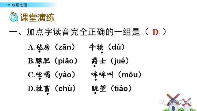 荷兰为什么被称为花之国（部编版语文五年级下册第19课《牧场之国》知识要点+图文讲解）