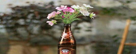 啤酒花的功效与作用，啤酒花可以丰胸吗（啤酒能浇什么花）