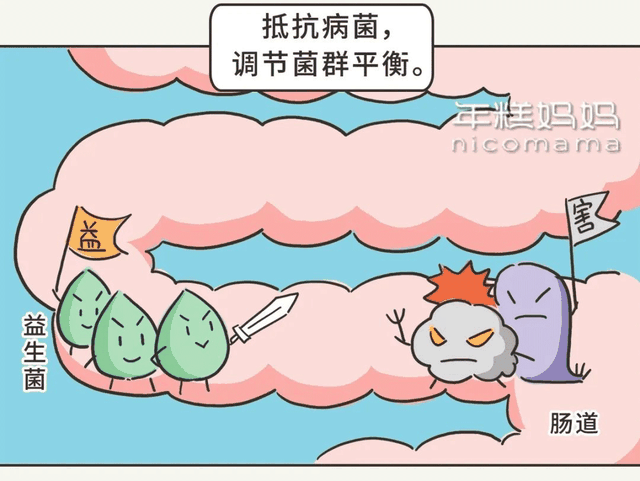 益生菌粉怎么吃，弄懂这4个问题，轻松调理肠胃