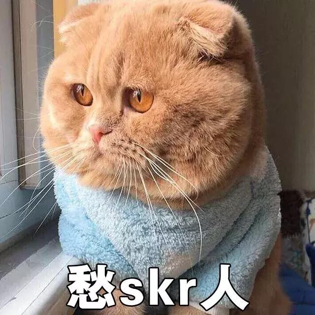 猫砂是什么东西，你知道猫砂是什么垃圾吗