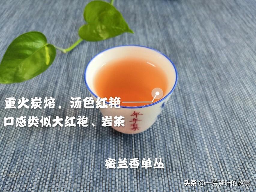 凤凰单枞属于什么茶(凤凰单枞为什么叫单枞)插图(1)