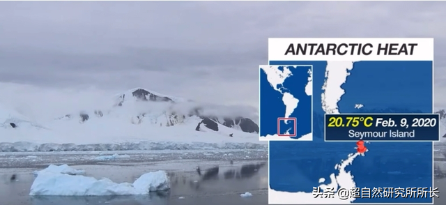 海底最深处的生物，10000米恐怖深海鱼（南极深处真的存在巨大的生物吗）