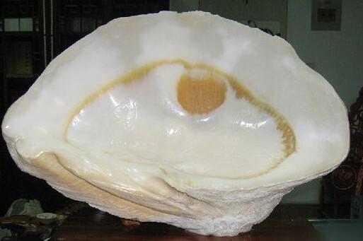 玉化是什么意思，绿松石玉化料是什么意思呀（为什么玉化砗磲就贵）