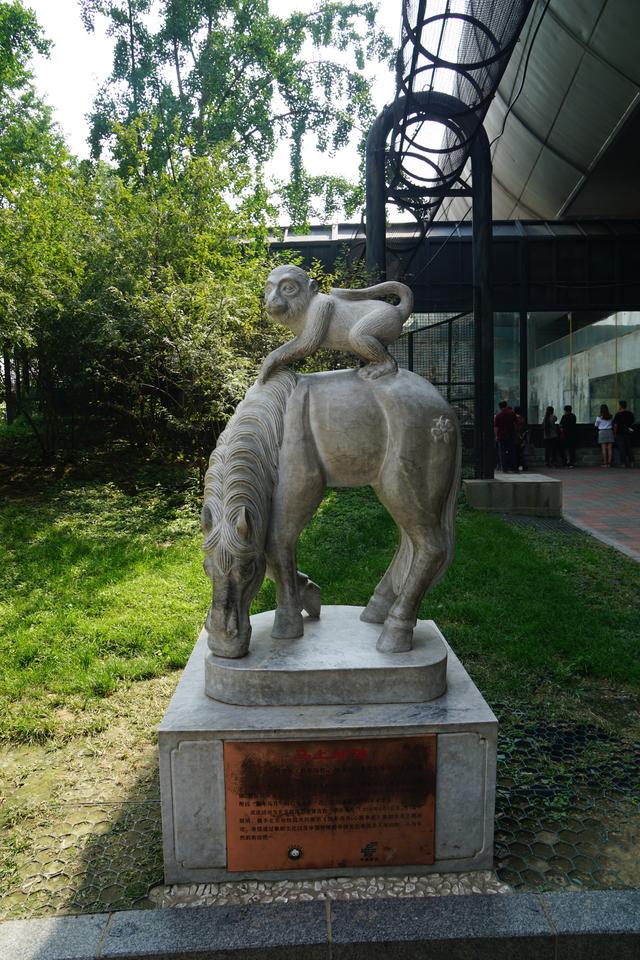 中国最大的动物园，中国动物园排名（中美动物园大PK）