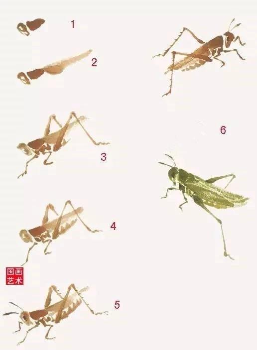 蝗虫简笔画怎么画，蝗虫的简笔画怎么画（螳螂、纺织娘）