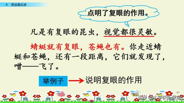 什么的硬翅，什么的硬翅？填四个字。（小学部编三年级语文下第4课《昆虫备忘录》图文+知识点+同步练习）