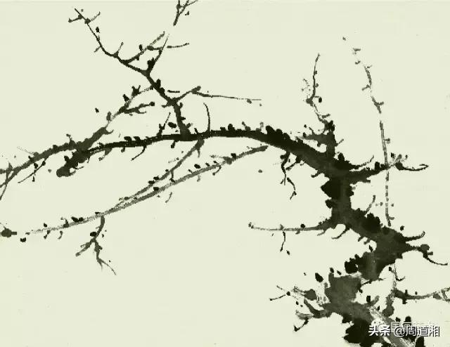 梅花13怎么手绘画，教梅花13怎么画（国画入门教程——梅花的画法）