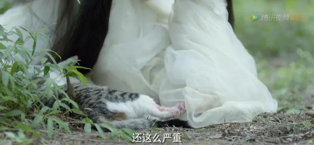 挽挽.网名，挽挽.微信昵称（尴尬得让我想连夜逃跑<一>）