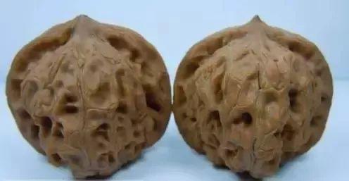 狮子头核桃种类分类有哪些（文玩核桃狮子头大全）