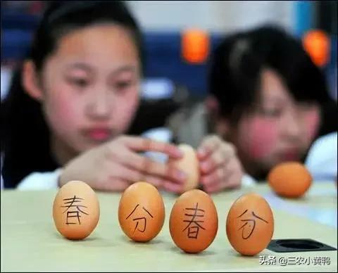春分的美好寓意，春分的美好象征（春分节气这4个民俗要知晓）