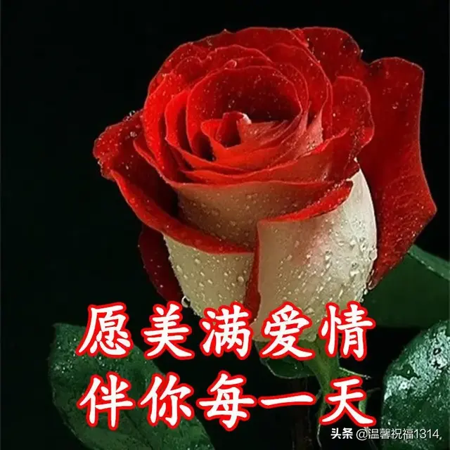 1314祝福语，1314祝福语结婚（3.14白色情人节到了）
