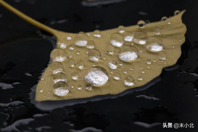 你嘴巴那么毒 心里一定特别苦，你嘴巴那么毒你男朋友有尿毒症吧（是一个人最大的恶意图片）