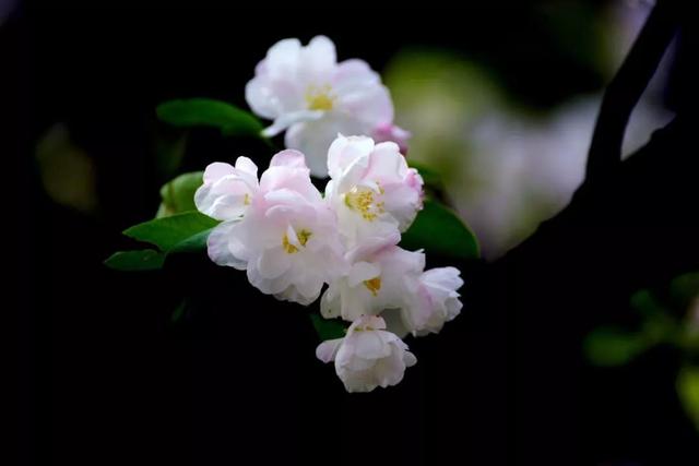 关于日的诗句，关于日的诗句和诗人的情感（最美6首暖春古诗词：风乍暖）