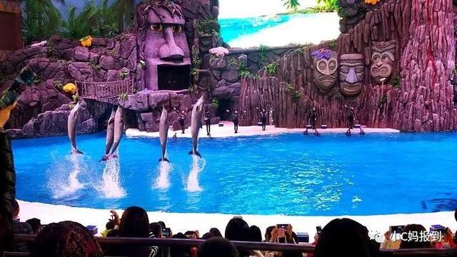 珠海长隆游玩攻略，珠海长隆游玩攻略图（带娃去珠海长隆该怎么玩）