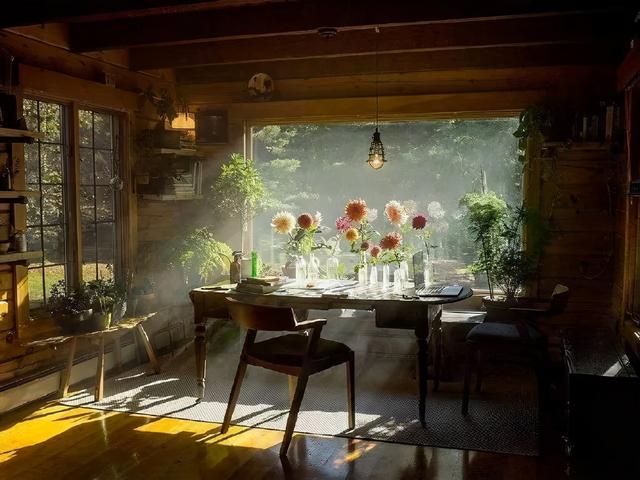 错过就从新开始而不是重新开始/苏苏/愿喜，错过了就从新开始 而不是重新开始是什么意思（我总不能为了你，自己错过吧图片）