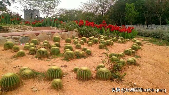 东莞梦幻百花洲，东莞梦幻百花洲怎样（梦幻百花洲）