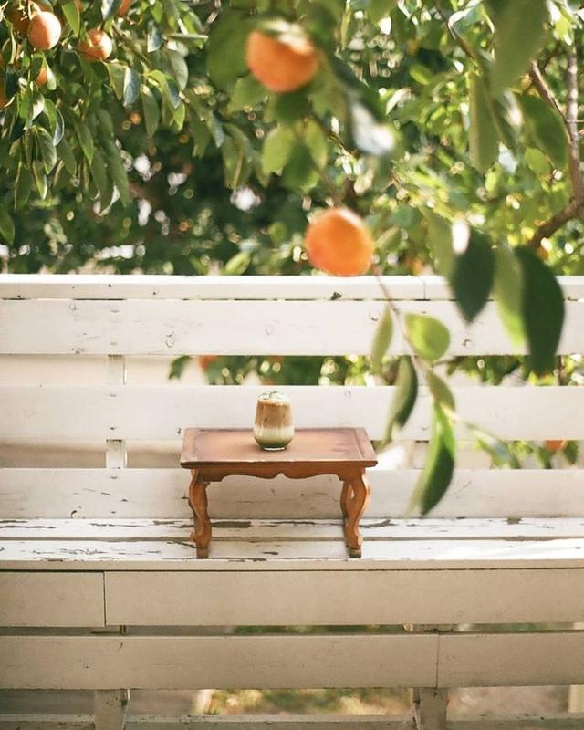 美好阳光且干净的女生头像  星空迷上了山野微信，美好阳光且干净的女生头像  星空迷上了山野，有雾有灯也有归人。（有哪些好看非人物的头像）