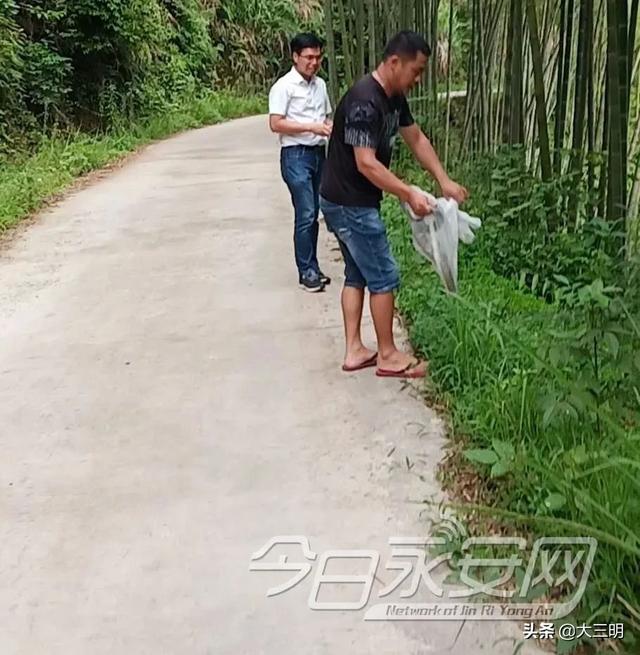 蛇的形态特征和生活习性，蛇的形态特点（永安人，蛇出没）