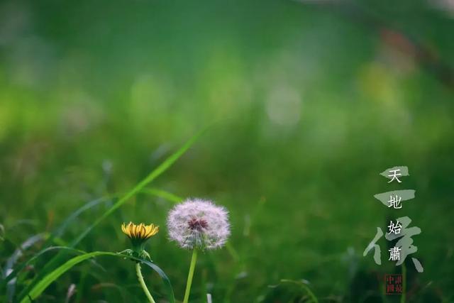处暑应该吃什么，调理很多亚健康症状