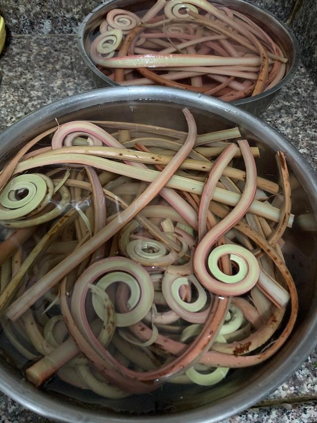 新鲜蕨菜怎么处理才能吃，新鲜的蕨菜怎么吃（春天随处可见的蕨菜）