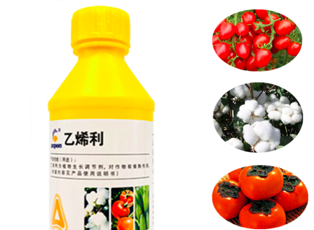 核桃皮怎么去掉，怎样快速剥掉核桃仁的皮（一口气看懂关于核桃去皮那些事）