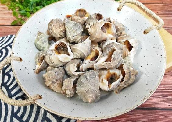 海螺要煮多久才熟，海螺怎么做好吃几分钟会熟（海螺的正确打开方式）