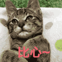 如何做一个定制猫窝，如何制作一个猫窝（看百度工程师研发的流浪猫智能猫窝）