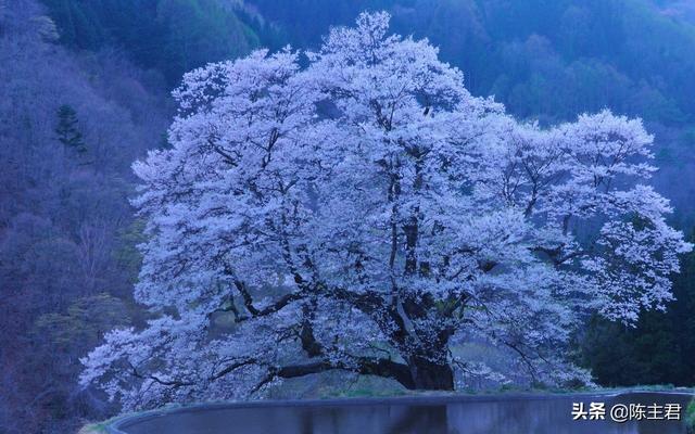 电脑好看的壁纸，10个最佳电脑壁纸（这56张绝美风景）